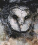 (image for) Owl Dreams